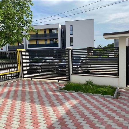 Cozy Apartament With 2Rooms Timişoara Eksteriør bilde