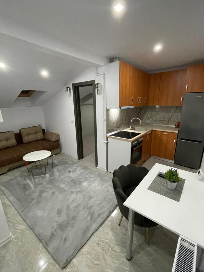 Cozy Apartament With 2Rooms Timişoara Eksteriør bilde